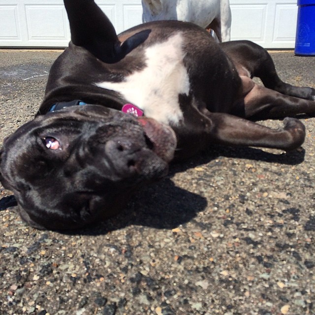 I think she's enjoying the sun a little too much..